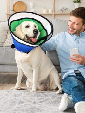 Adjustable Dog Cone for Large Dogs